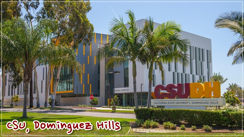 Cal State Dominguez Hills Online Mba 미국대학-내신커트라인 - 내신5등급: California State University, Dominguez Hills