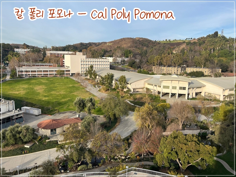 어학학교 상세정보 - California State Polytechnic University, Pomona (캘리포니아 주립